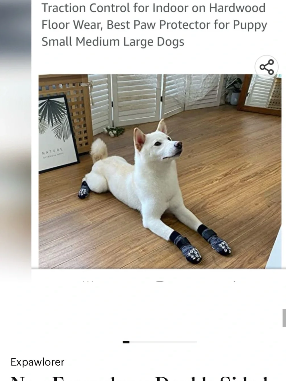 N/A new dog